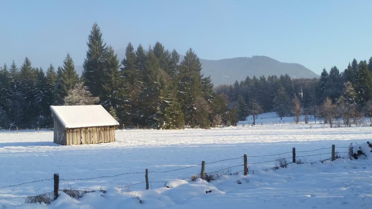 Ferienwohnung Im-Oberland - Tal - KönigsCard Bad Kohlgrub Exterior foto