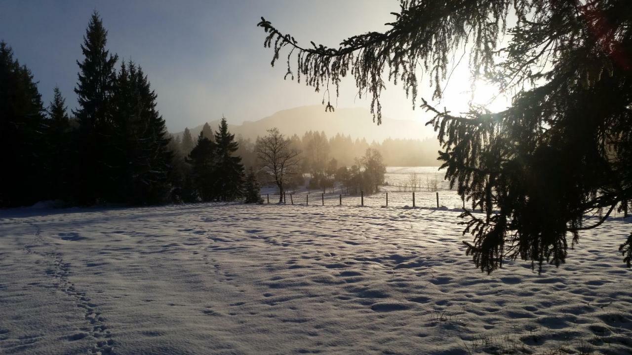 Ferienwohnung Im-Oberland - Tal - KönigsCard Bad Kohlgrub Exterior foto